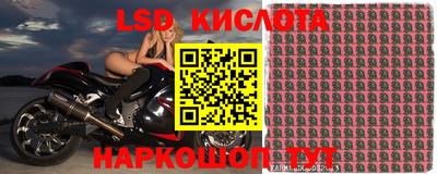 таблы Славгород