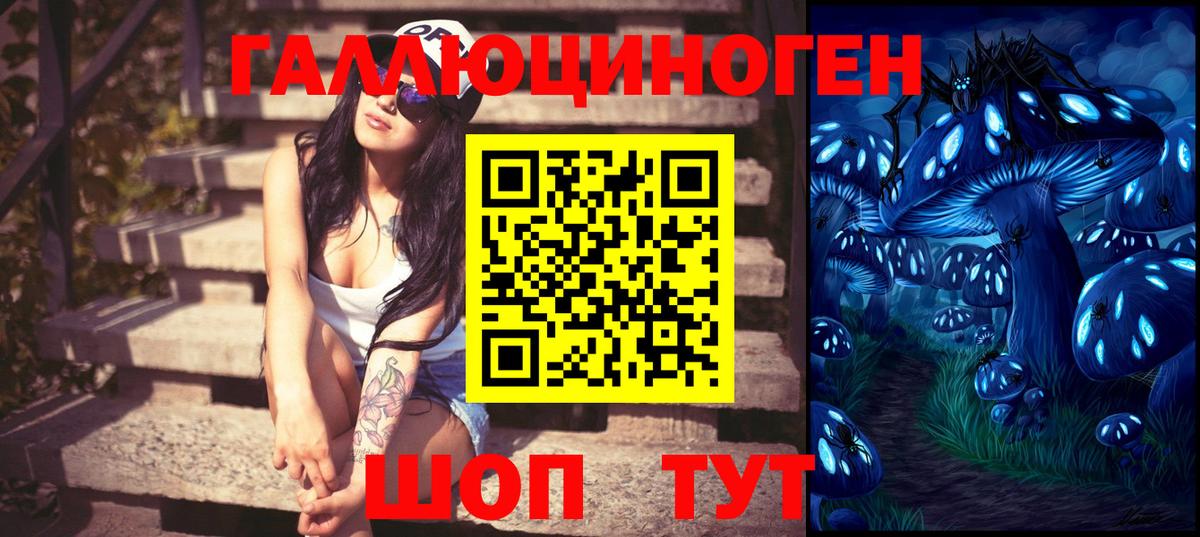 Псилоцибиновые грибы GOLDEN TEACHER Омск