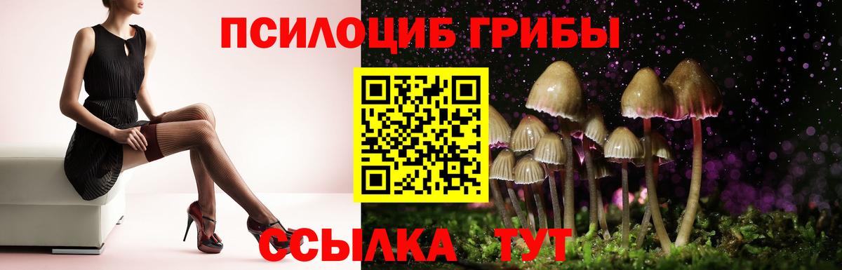 Галлюциногенные грибы мухоморы  закладка  Омск  Вход с VPN 
