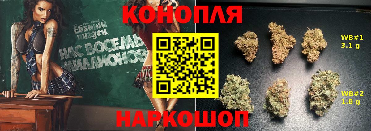 Конопля Омск